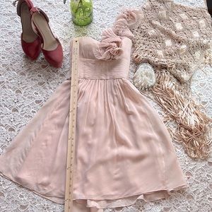 NWT BCBG MAX AZRIA BLUSH PINK CHIFFON FORMAL DRESS